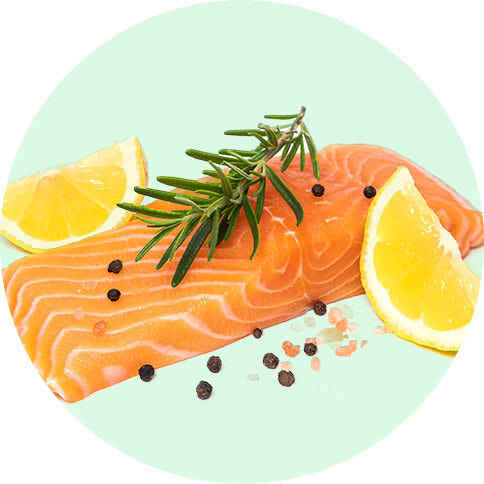 Symbolbild Kategorie Lachs