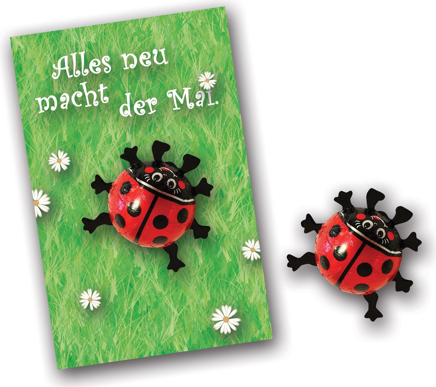 Schokoladenkäfer auf Karte